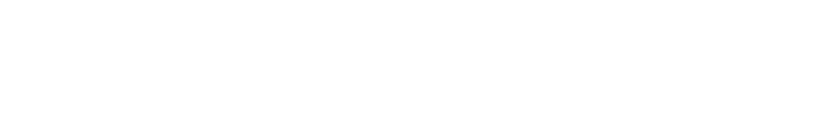 PaceBridge